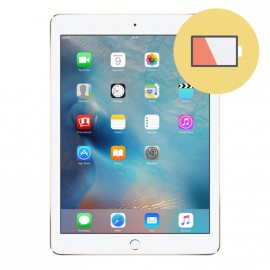iPad Air 2 Batterie Replacement